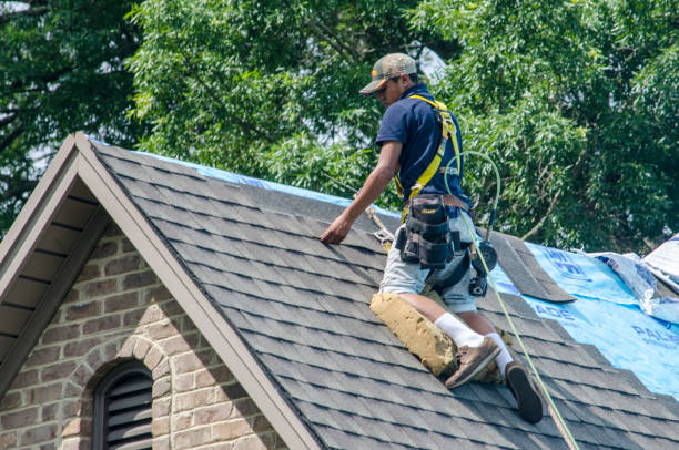Best Roof Inspection Near Me  in Ben Lomond, CA